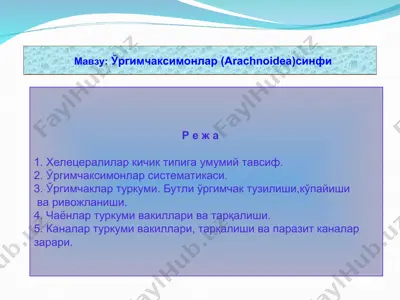 ўргимчаксимонлар (arachnoidea) cинфи — ZIP