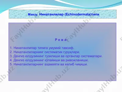 нинатанлилар (echinodermata) типи — ZIP