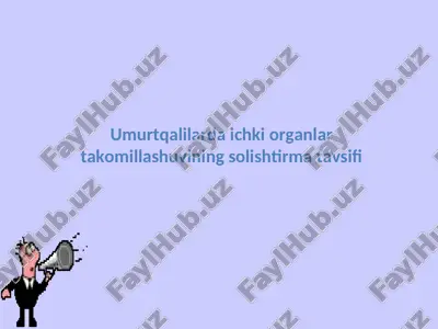 umurtqalilarda ichki organlar takomillashuvining solishtirma tavsifi — ZIP