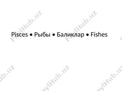 ўзбекистон балиқлари o'zbekiston baliqlari — ZIP