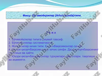 бўғимоёқлилар ( artuhropoda) типи — ZIP