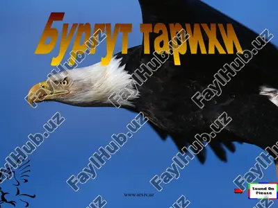 бургут тарихи — ZIP