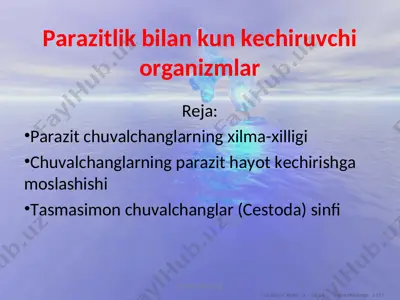 parazitlik bilan kun kechiruvchi organizmlar — ZIP