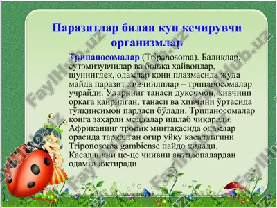 паразитлар билан кун кечирувчи организмлар — ZIP
