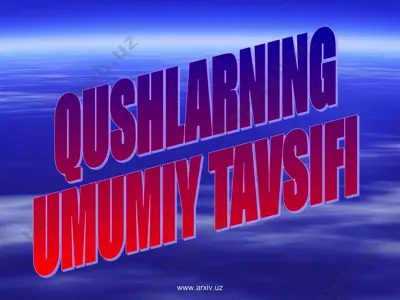 qushlarning umumiy tavsifi — ZIP