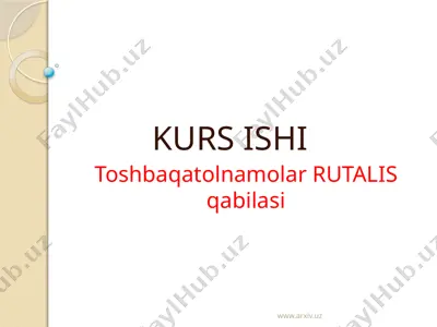 toshbaqatolnamolar rutalis qabilasi — ZIP