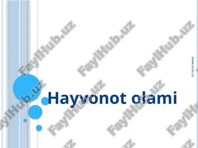 hayvonot olami — ZIP