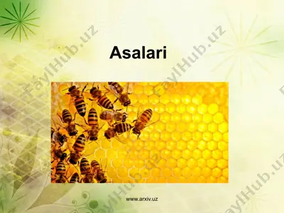 asalari — ZIP