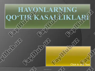 hayvonlarning qo‘tir kasalliklari — ZIP
