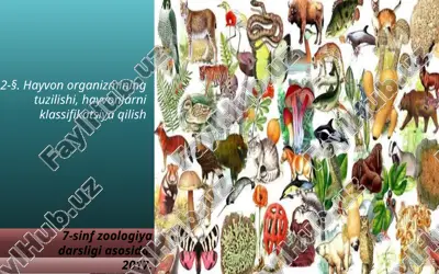hayvon organizmining tuzilishi, hayvonlarni klassifikatsiya qilish. 7- sinf — ZIP