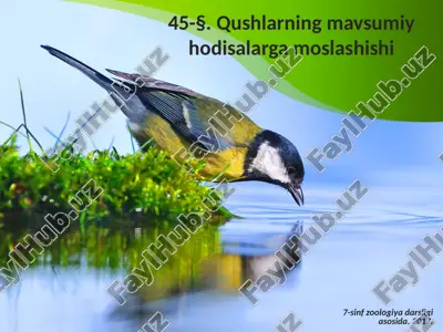 qushlarning mavsumiy hodisalarga moslashishi. 7- sinf — ZIP