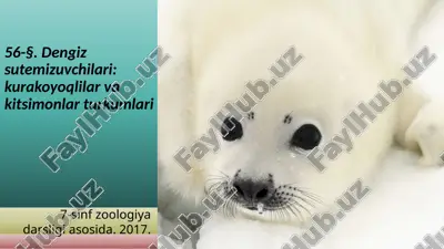 dengiz sutemizuvchilari kurakoyoqlilar va kitsimonlar turkumlari. 7- sinf — ZIP