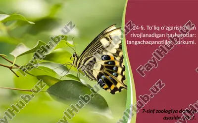 to‘liq o‘zgarish bilan rivojlanadigan hasharotlar tangachaqanotlilar turkumi.. 7- sinf — ZIP