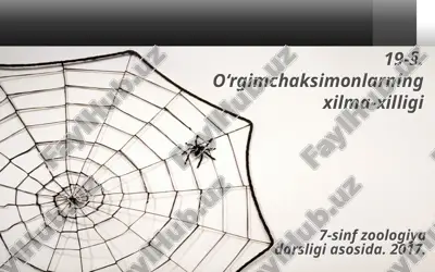 o‘rgimchaksimonlarning xilma-xilligi. 7- sinf — ZIP
