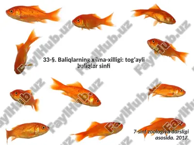 baliqlarning xilma-xilligi tog‘ayli baliqlar sinfi. 7- sinf — ZIP
