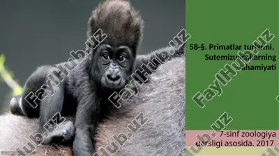 primatlar turkumi. sutemizuvchilarning ahamiyati. 7- sinf — ZIP