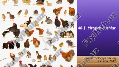 yirtqich qushlar. 7- sinf — ZIP