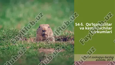 qo‘lqanotlilar va kemiruvchilar turkumlari. 7- sinf — ZIP