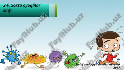 soxta oyoqlilar sinfi. 7- sinf — ZIP
