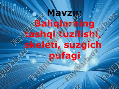 baliqlarning tashqi tuzilishi, skeleti, suzgich pufagi — ZIP
