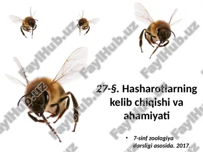 hasharotlarning kelib chiqishi va ahamiyati. 7- sinf — PPTX