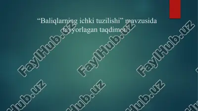 baliqlarning ichki tuzilishi (dars ishlanma) — PPTX