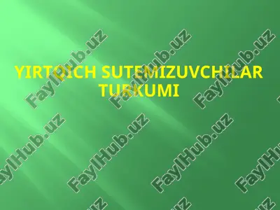 yirtqich sutemizuvchilar turkumi — PPTX