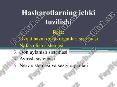 hasharotlarning ichki tuzilishi — PPTX