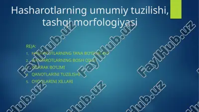 hasharotlarning umumiy tuzilishi, tashqi morfologiyasi — PPTX