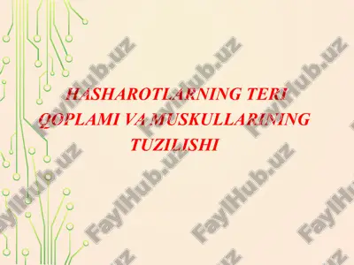 hasharotlarning teri qoplami va muskullarining tuzilishi — ZIP