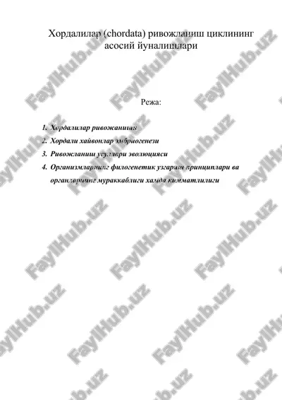 хордалилар (chordata) ривожланиш циклининг асосий йуналишлари — DOC