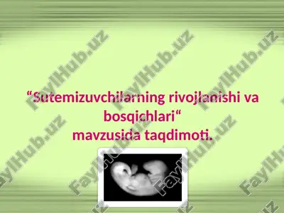 sutemizuvchilarning rivojlanishi va bosqichlari — PPTX