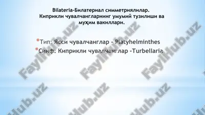 bilateria-билатериал симметриялилар. киприкли чувалчангларнинг умумий тузилиши ва муҳим вакиллари — PPTX
