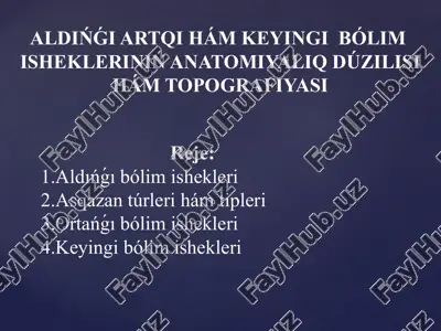 aldińǵi artqi hám keyingi bólim ishekleriniń anatomiyaliq dúzilisi hám topografiyasi — PPTX