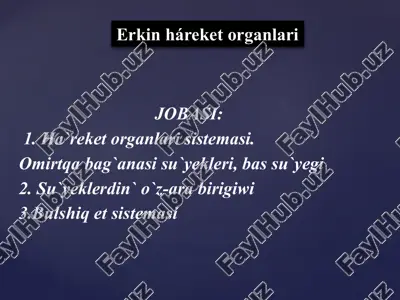 erkin háreket organlari — PPTX