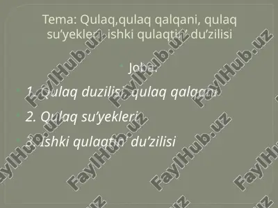 qulaq,qulaq qalqani, qulaq su’yekleri, ishki qulaqtin’ du’zilisi — PPTX