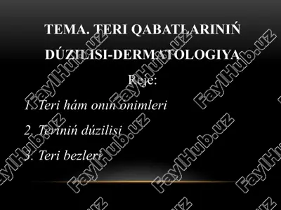 tema. teri qabatlariniń dúzilisi-dermatologiya — PPTX
