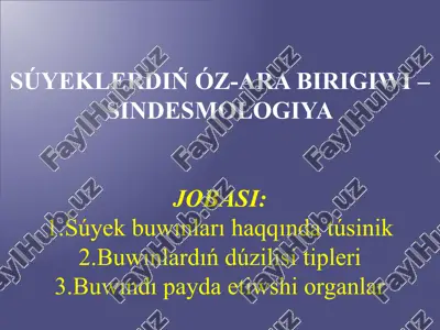 súyeklerdiń óz-ara birigiwi – sindesmologiya — PPTX