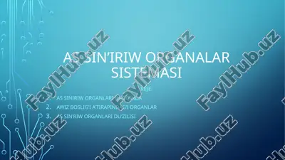 as sin’iriw organalar sisteması — PPTX