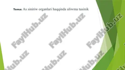 as siniriw organlari haqqinda uliwma tusinik — PPTX
