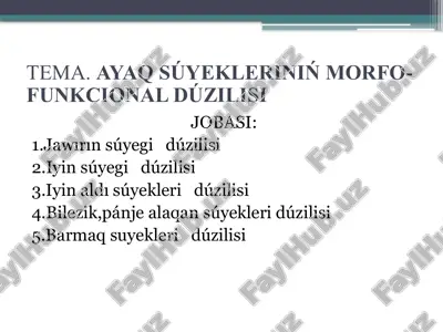 ayaq súyekleriniń morfo-funkcional dúzilisi — PPTX