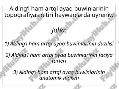 aldingʻi ham artqi ayaq buwinlarinin topografiyasin tiri haywanlarda uyreniw — PPTX