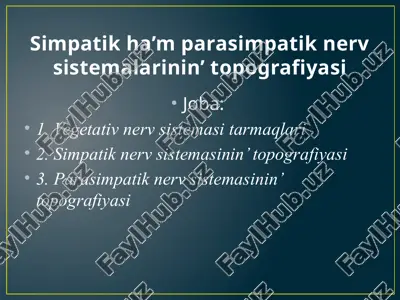 simpatik ha’m parasimpatik nerv sistemalarinin’ topografiyasi — PPTX