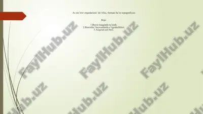 as sin’iriw organlarinin’ du’zilisi, formasi ha’m topografiyasi — PPTX