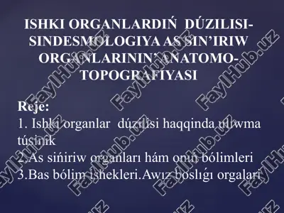 ishki organlardiń dúzilisi-sindesmologiya as sin’iriw organlarinin’ anatomo-topografiyasi — PPTX