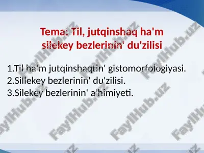 til, jutqinshaq ha'm silekey bezlerinin' du'zilisi — PPTX
