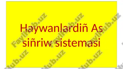 haywanlardiñ as siñriw sistemasi — PPTX