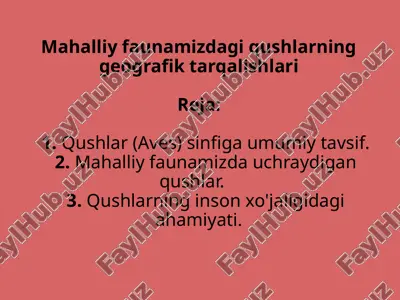 mahalliy faunamizdagi qushlarning geografik tarqalishlari — PPTX