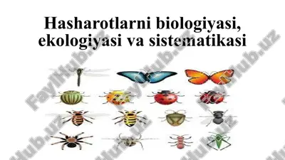 hasharotlarni biologiyasi, ekologiyasi va sistematikasi — PPTX
