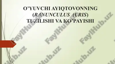o’yuvchi ayiqtovonning (ranunculus acris) tuzilishi va ko’payishi — PPTX